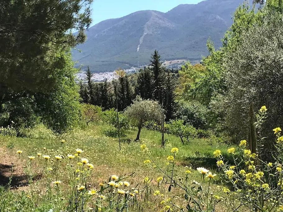 Penthouse Apartment, Cortijo Fruitful Hills Málaga Spanien